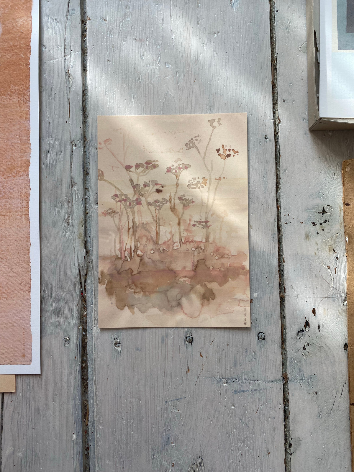 WILD FLOWERS-Art Card-tinystories